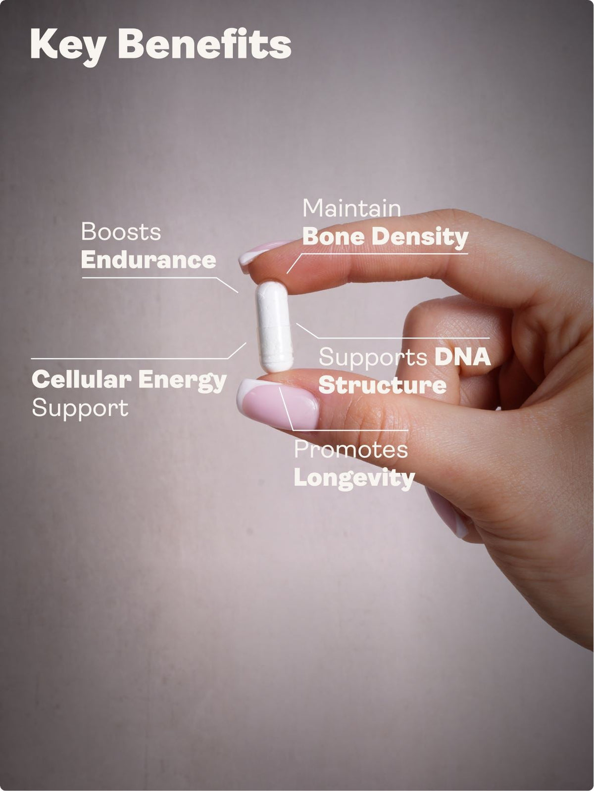 Calcium Alpha Keto-Glutarate (CALCIUM AKG) – 500mg x 60 Capsules Calcium Alpha Keto-Gluterate Youth & Earth