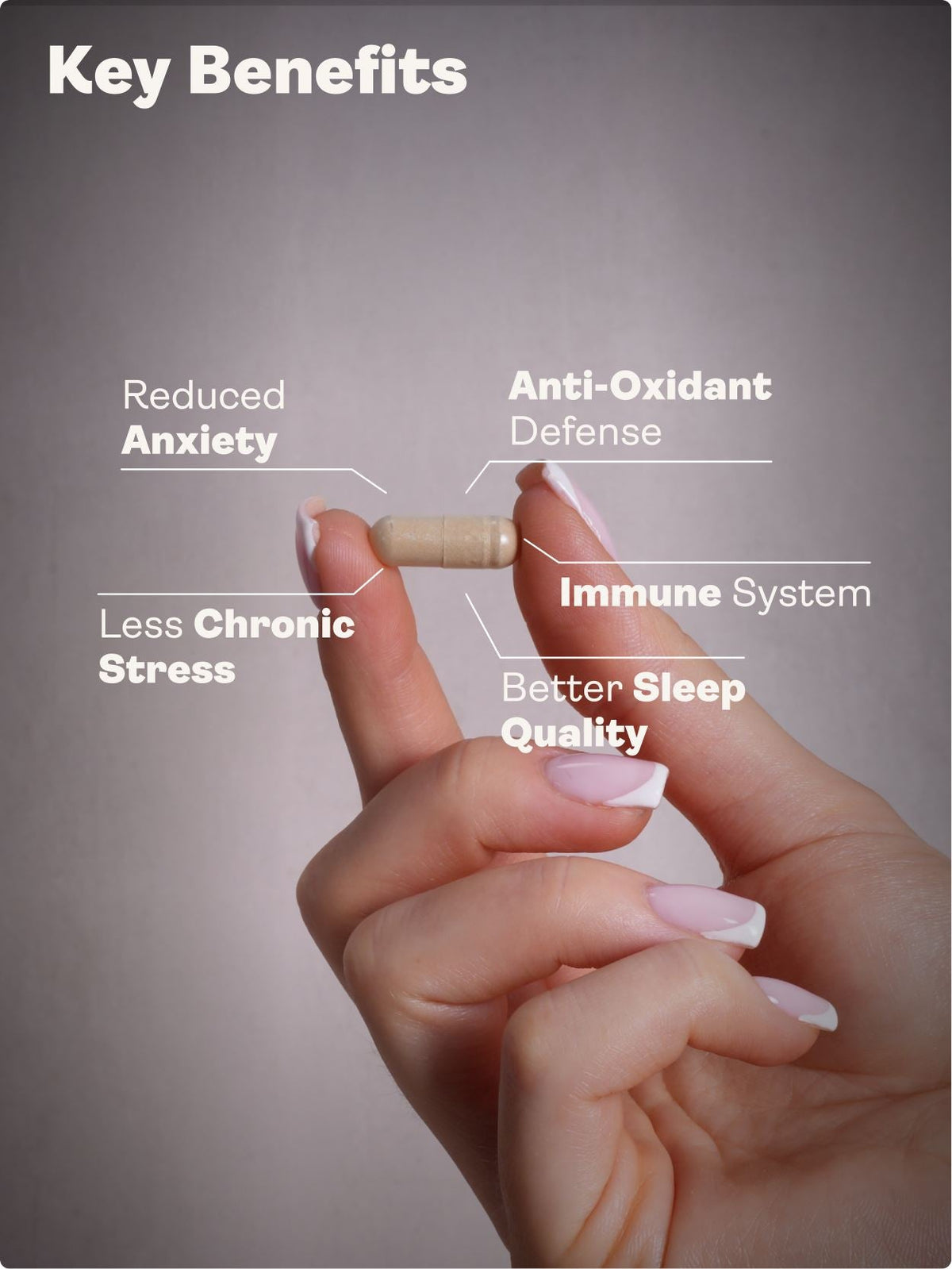 CHILLAXCINE (Ashwagandha, L-theanine & Saffron) – 335mg x 60 Capsules Ashwagandha, L-theanine & Saffron Youth & Earth