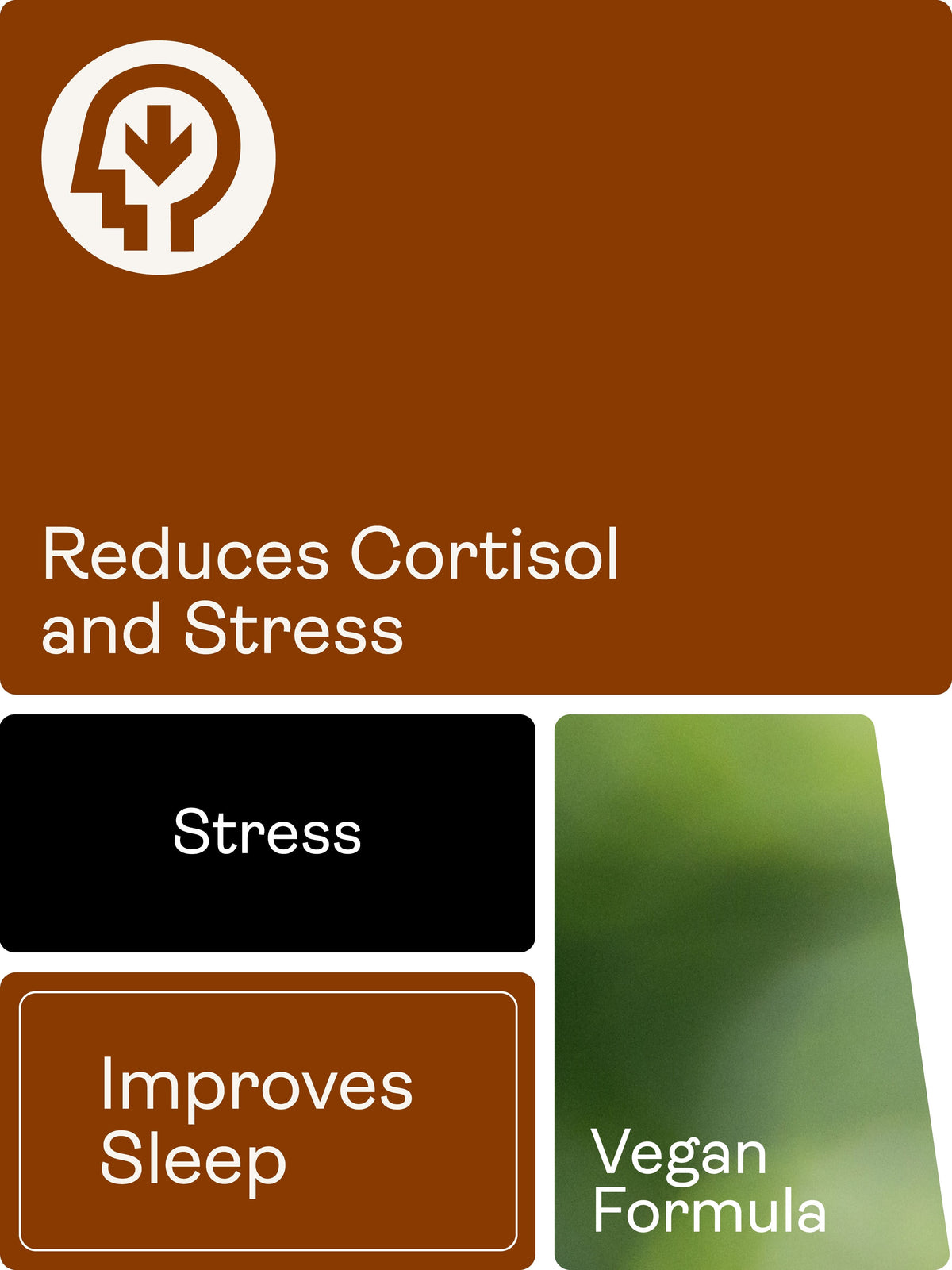 CHILLAXCINE (Ashwagandha, L-theanine & Saffron) – 335mg x 60 Capsules Ashwagandha, L-theanine & Saffron Youth & Earth