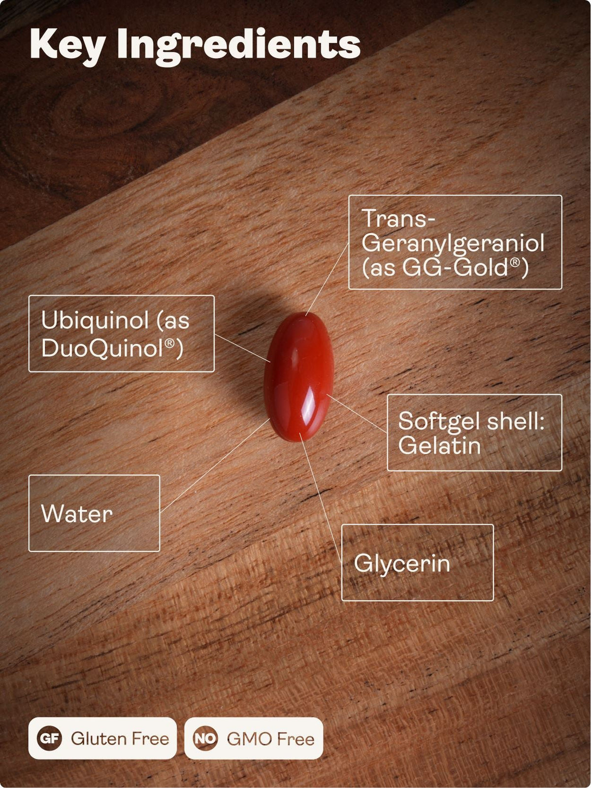Mitochondrial CoQ10 - DuoQuinol® & GG-Gold® – 150mg x 30 Softgels Youth & Earth
