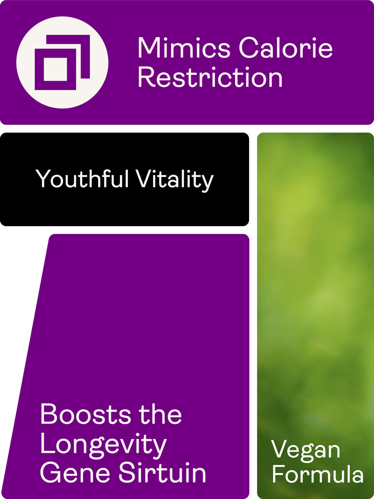 Preservage (Trans-Resveratrol, Curcumin, Quercetin, BioPerine) – 410mg x 60 Capsules Sirtuin Activator Trans-Resveratrol, Curcumin, Quercetin, BioPerine