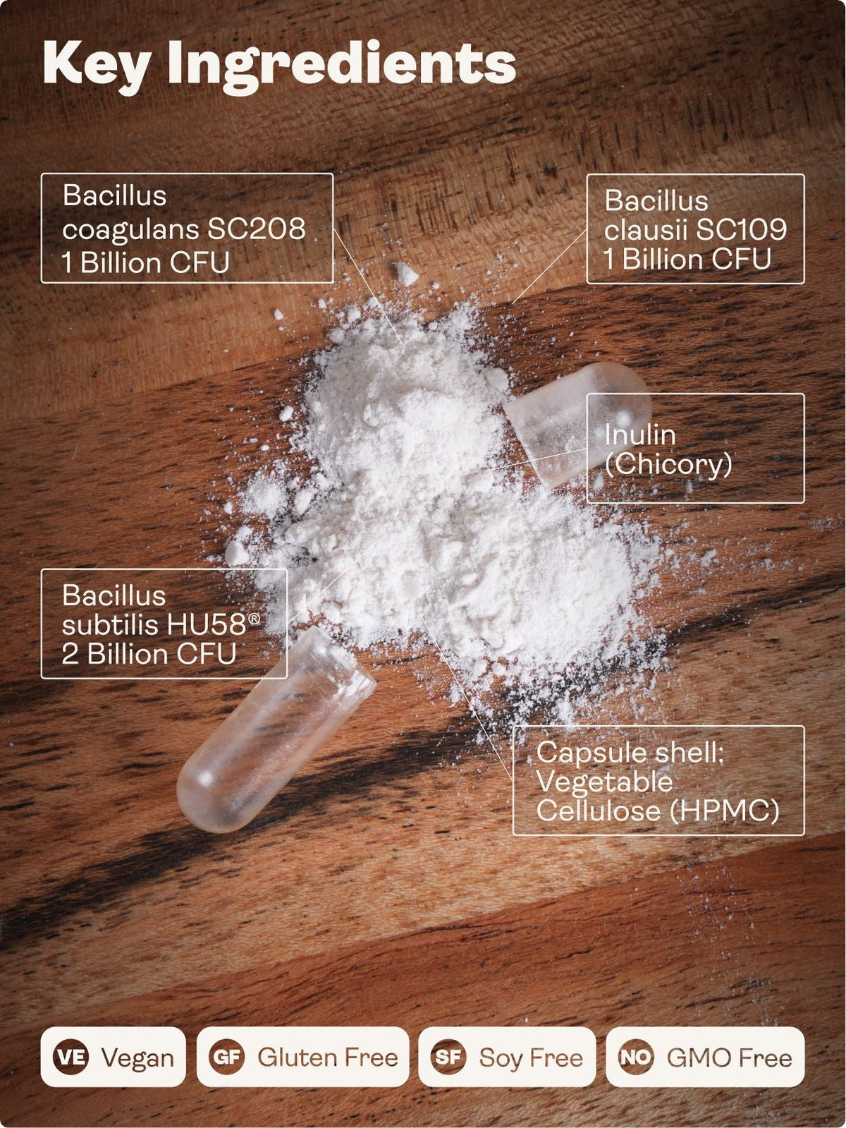 Spore Probiotic (Bacillus subtilis HU58®, Bacillus coagulans SC208 & Bacillus clausii SC109) – 4 billion CFU count x 60 Capsules Youth & Earth