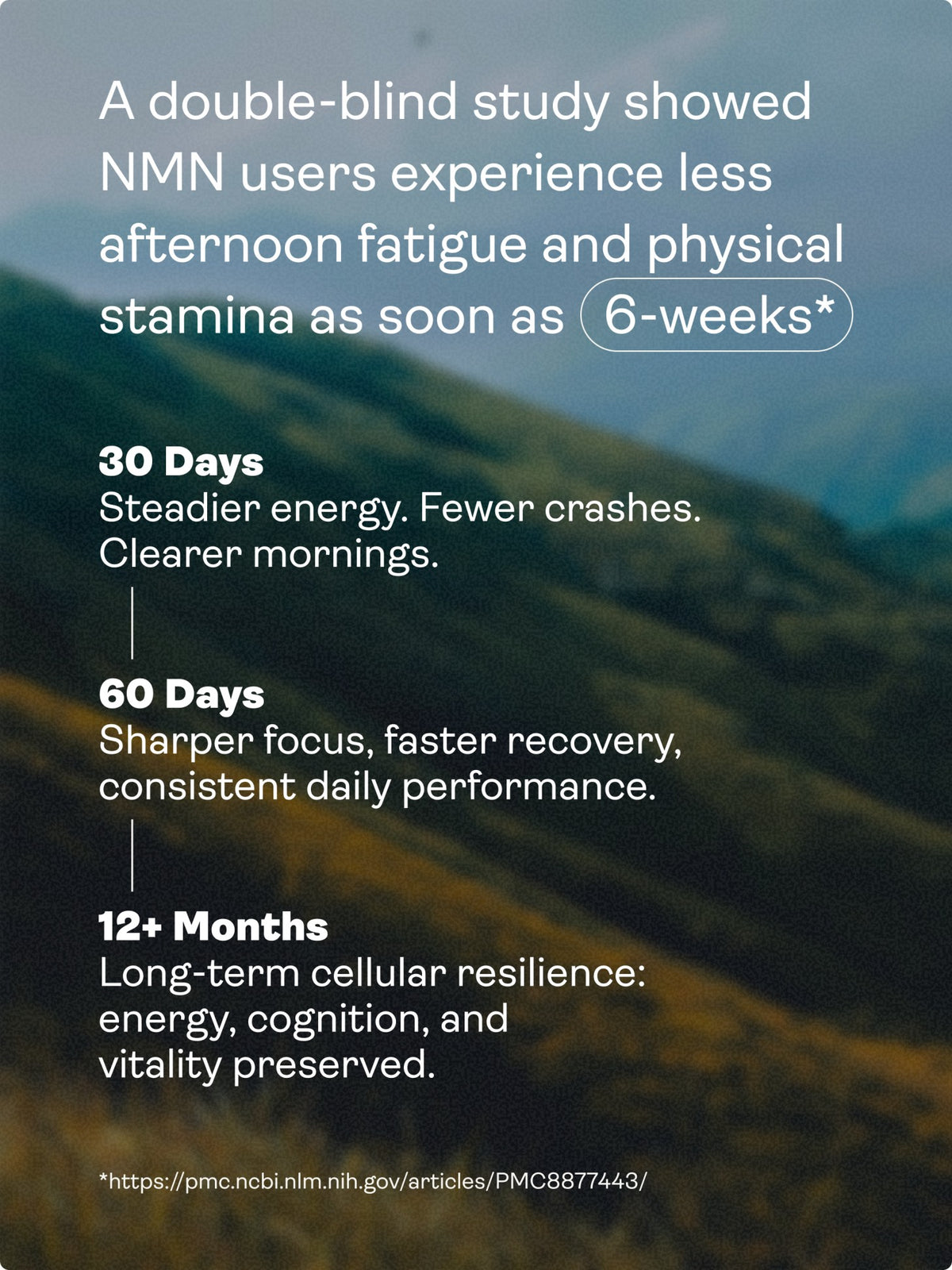 NMN Capsules - NAD+ Booster