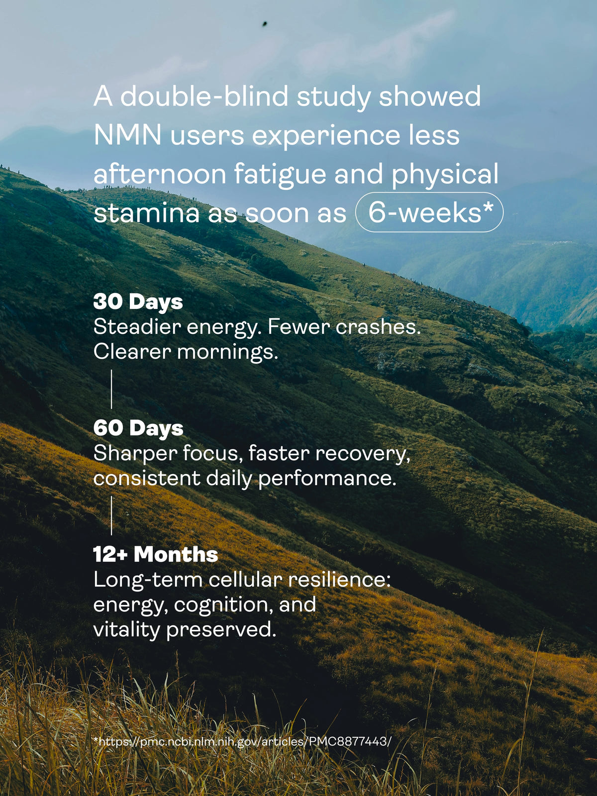 NMN Capsules - NAD+ Booster