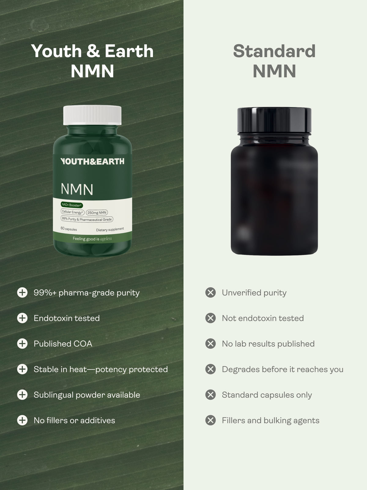 NMN Capsules - NAD+ Booster
