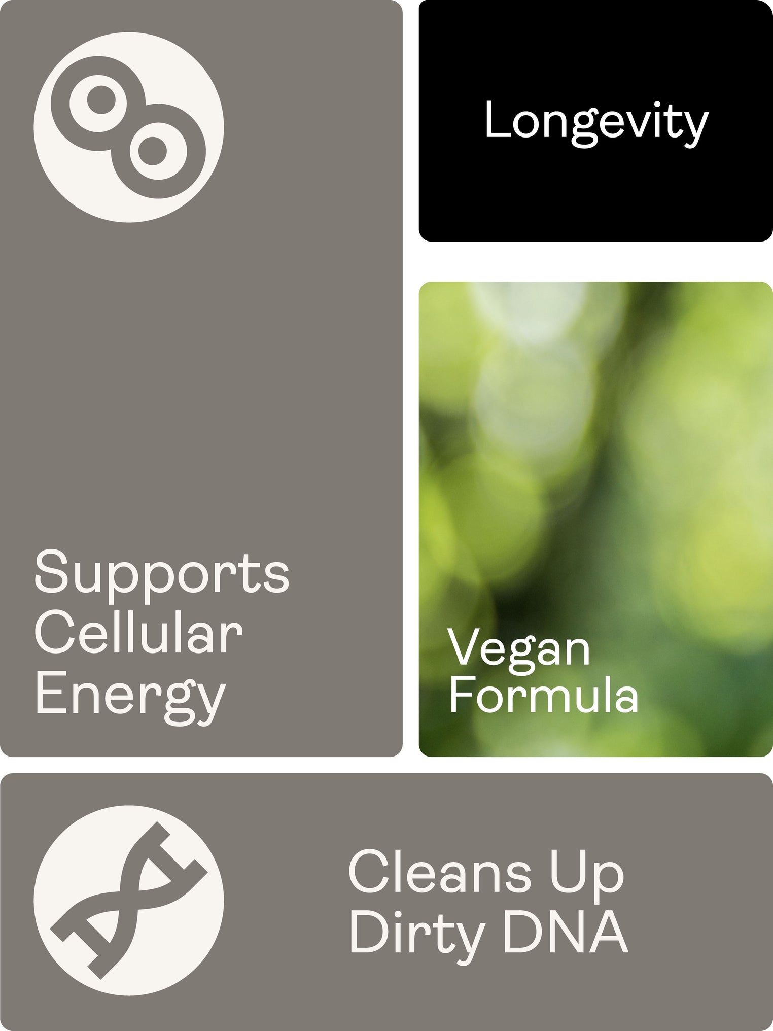 Calcium Alpha Keto-Glutarate (CALCIUM AKG) – 500mg x 60 Capsules Calcium Alpha Keto-Gluterate Youth & Earth 