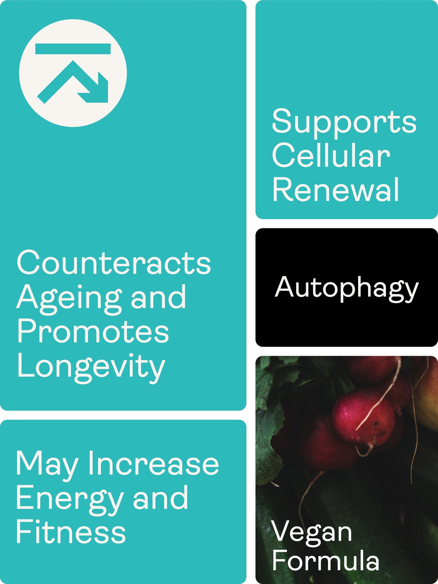 Liposomal Spermidine youthandearth 