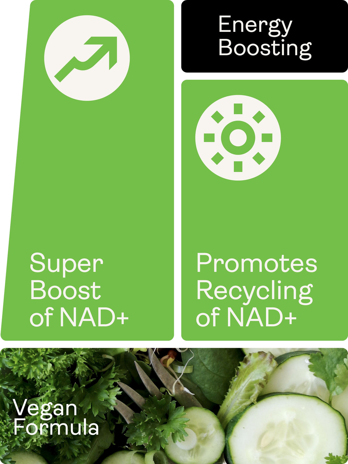 NAD Max 460mg x 60 Capsules youthandearth 