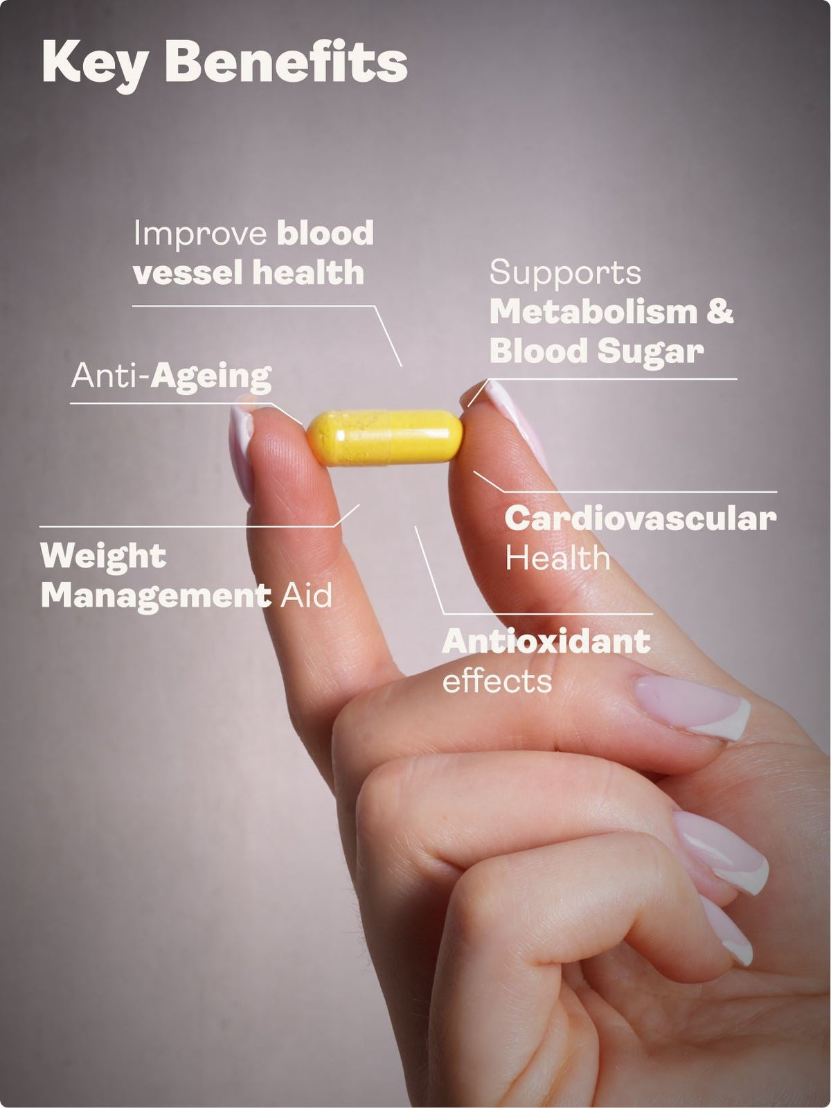 Releaf (Berberine, Silymarin, Chromium Picolinate) – 500.5mg x 60 Capsules Blood Sugar Support Youth & Earth 