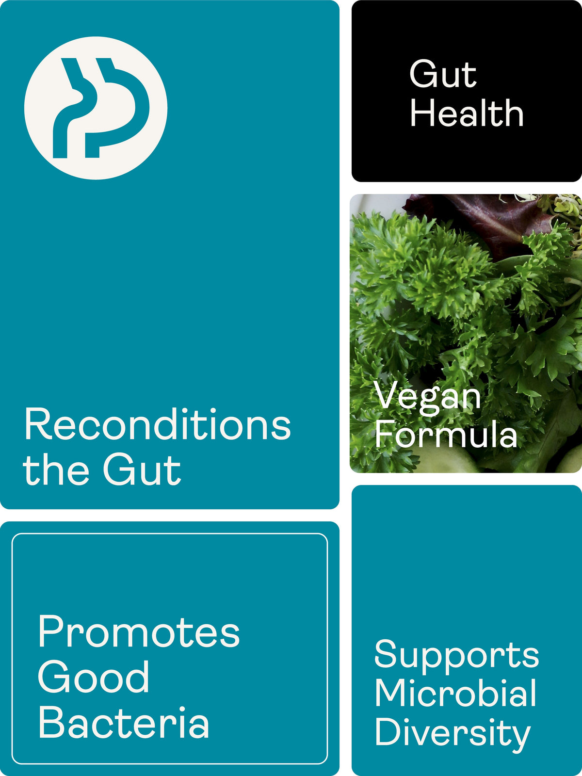Spore Probiotic (Bacillus subtilis HU58®, Bacillus coagulans SC208 &amp; Bacillus clausii SC109) – 4 billion CFU count x 60 Capsules Bacillus subtilis HU58®,Bacillus coagulans, Bacillus clausii 